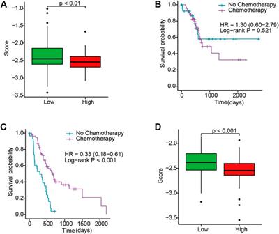An Inflammatory Response-Related Gene Signature Reveals Distinct Survival Outcome and Tumor Microenvironment Characterization in Pancreatic Cancer
